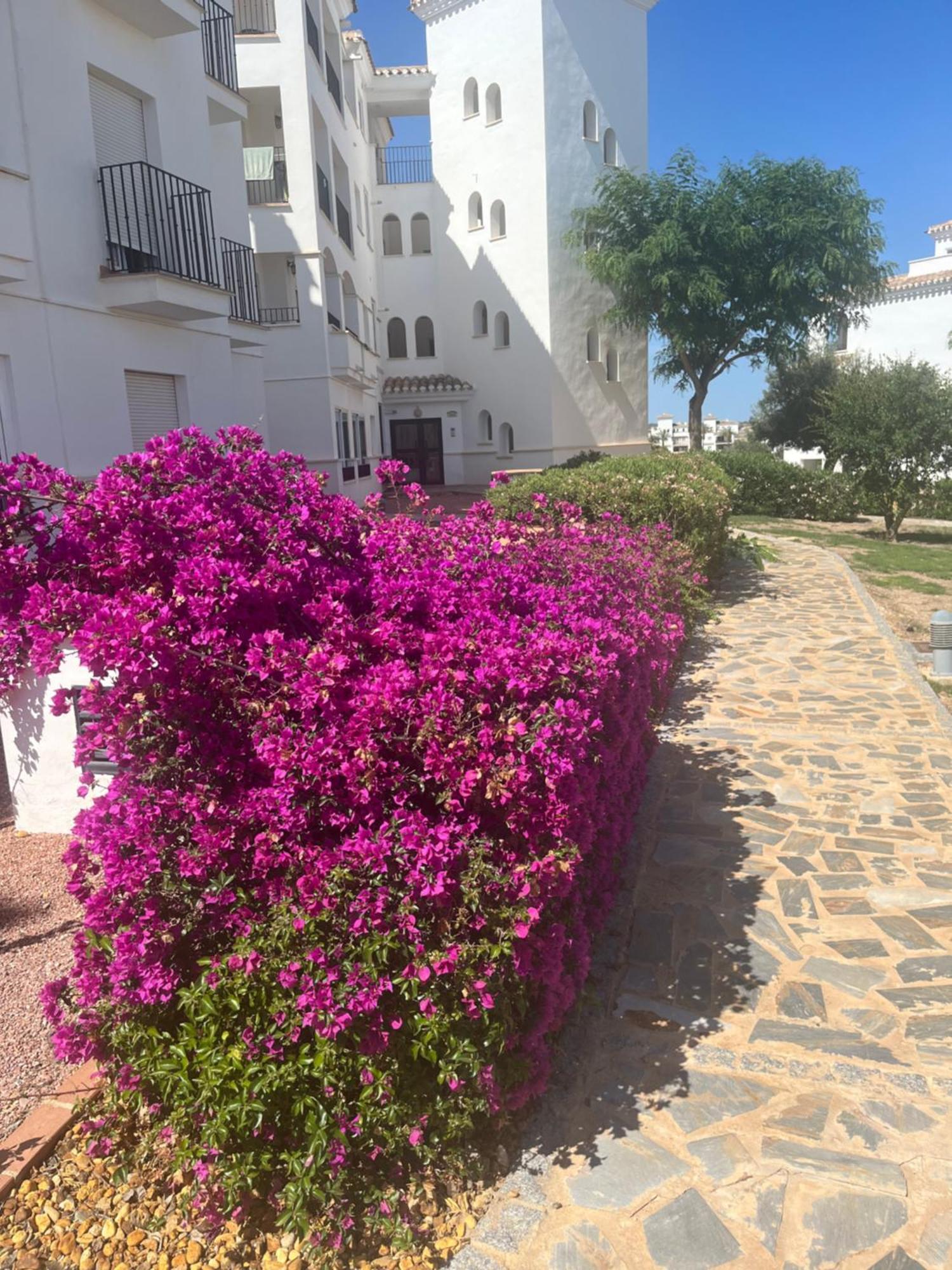 La Casa Rosita, Hacienda Riquelme Golf Resort Sucina Murcia Luaran gambar